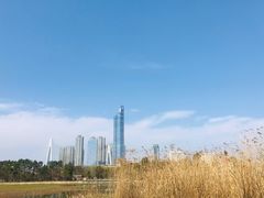 -月湖风景区