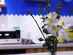 大堂-OZ cafe(南昌路店)
