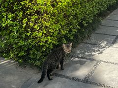 -南通博物苑-崇川人民公园