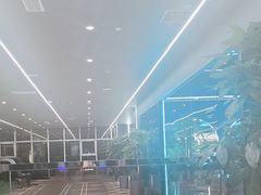 -小蓝鲸游泳培训基地(石景山店)