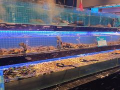 -喜庭海鲜自助(深圳万丰海岸城店)