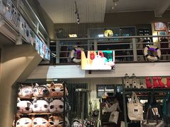 -猫咪博物馆(顶澳仔猫街店)