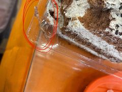 -百香林西点(新街口北大街店)