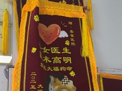 -嘉馨宠物医院·CT影像转诊·心脏科·犬猫全科诊疗中心(下沙大学城院区)