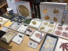 -三联韬奋书店(宽窄巷子店)