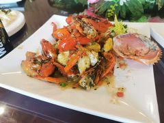 -沪碟·精菜坊(闵行店)