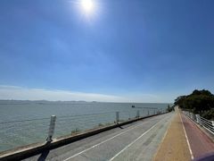 -贡湖湾湿地公园