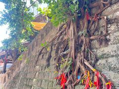 -重庆十八梯传统风貌区