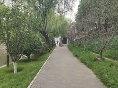 -元大都城垣遗址公园