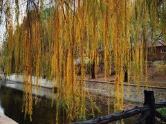 -元大都城垣遗址公园