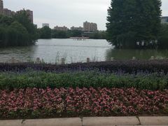 -青枫公园
