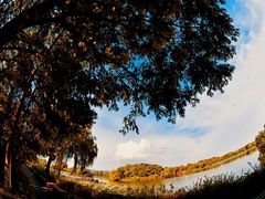 -上海市保健医疗中心