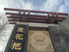 -莲花池公园