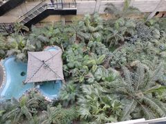 -黑龙江中医药大学附属第一医院