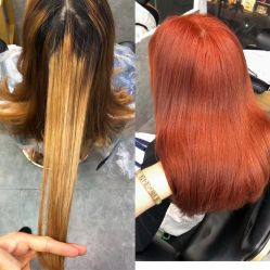 -藤野造型