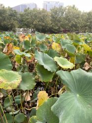 -大望京儿童游乐场