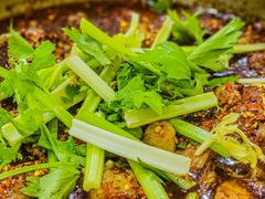 -温江公平红烧兔(总店)