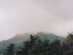 -荒度咖啡(北九水店)