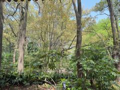 -西郊宾馆·1921餐厅