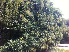 30-南京特殊教育师范学院(燕子矶校区)