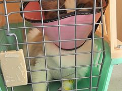 -联合动物医院(光谷诊疗中心)