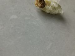 -好利来(北美N1店)