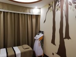 点击看大图 -芳朵美容养生SPA