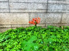-广州神农草堂中医药博物馆