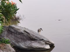 -海珠湖公园