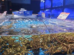 -徐记海鲜(大雁塔|金都店)