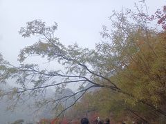 -狼牙山风景区