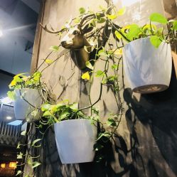 点击看大图 -川和潮人漂色·烫染·接发