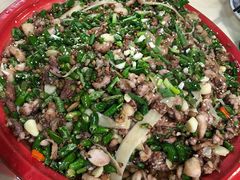 尖椒兔-东吴霸王兔(松青路店)