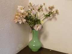 -Homie Canteen(机场路一巷店)