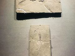 -贵州省博物馆(新馆)