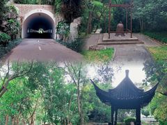 -深圳国际园林花卉博览园