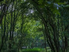 -西溪南古村落景区