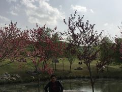 -镇江市南山风景名胜区竹林景区