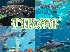-长鹿旅游休博园