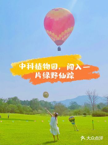 西双版纳第四站｜中科植物园，闯进一片绿野仙踪