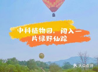 西双版纳第四站｜中科植物园，闯进一片绿野仙踪