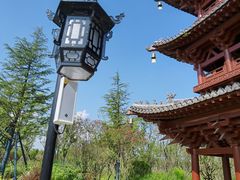 -东平国家森林公园