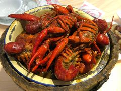 -怪怪龙虾·澳洲蓝龙王·深夜食堂(惊驾路店)