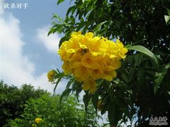 -火炉山森林公园