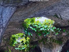 -沈阳植物园