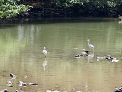 -海珠湖公园