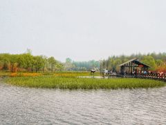 -溱湖国家湿地公园