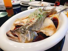 -马仕玖煲·融合菜·酥不腻烤鸭(人大店)