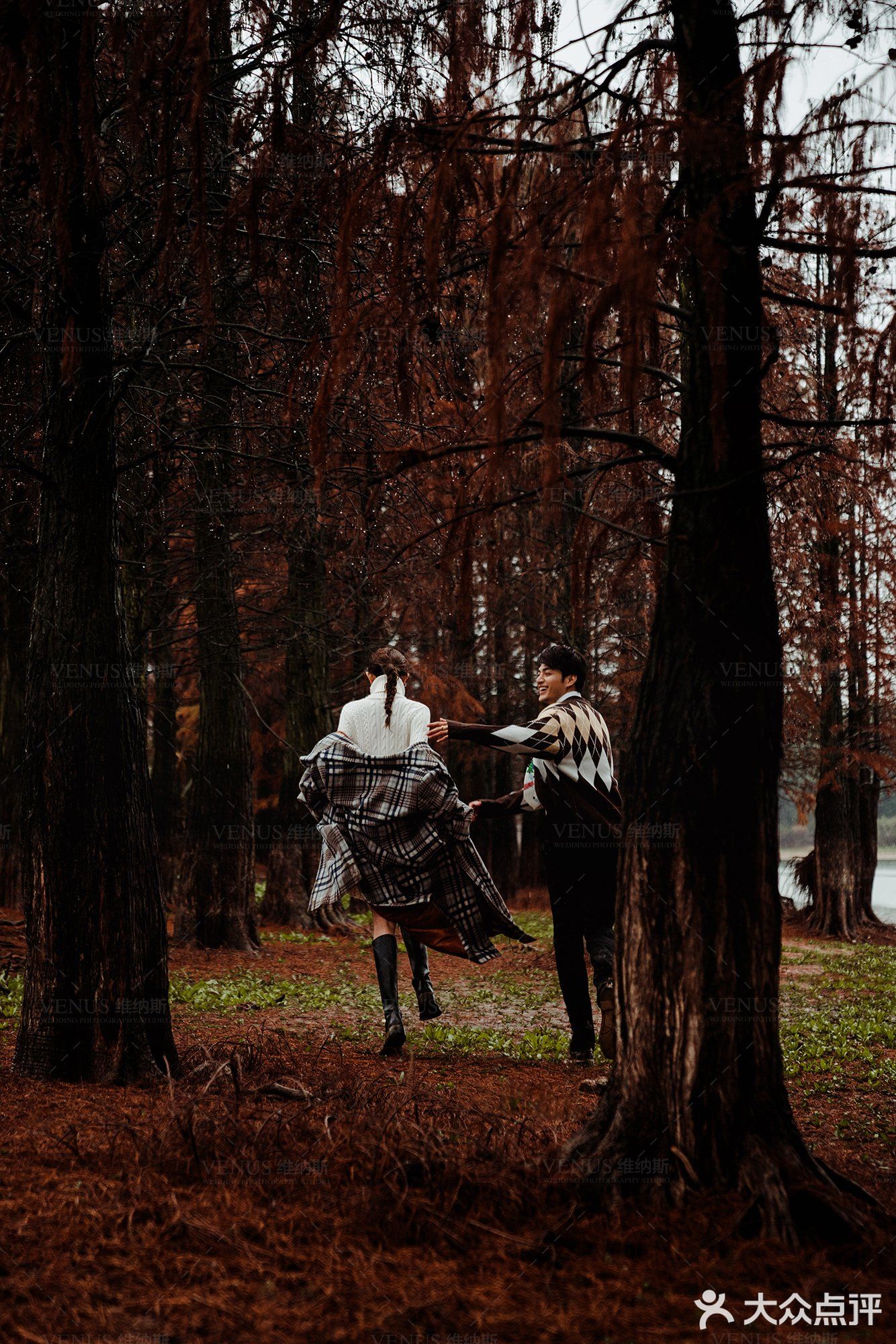 秋意红杉林婚纱照🍂如痴如画，美得动魄惊心！