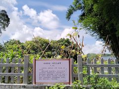 -苏家围·东江画廊旅游景区